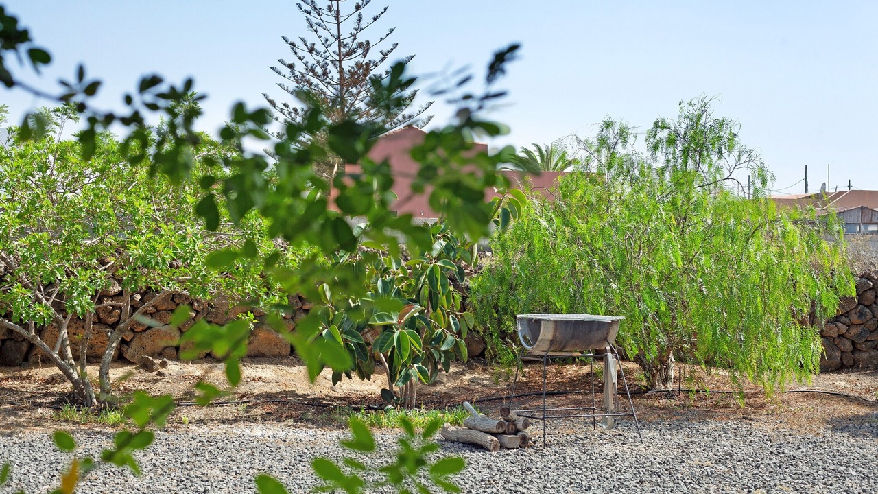 Photo of Outdoor in Lajares