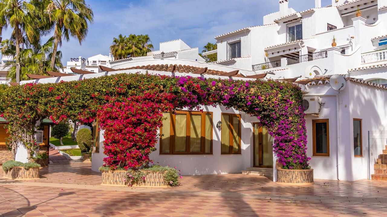 Photo of Outdoor in Oasis del Capistrano