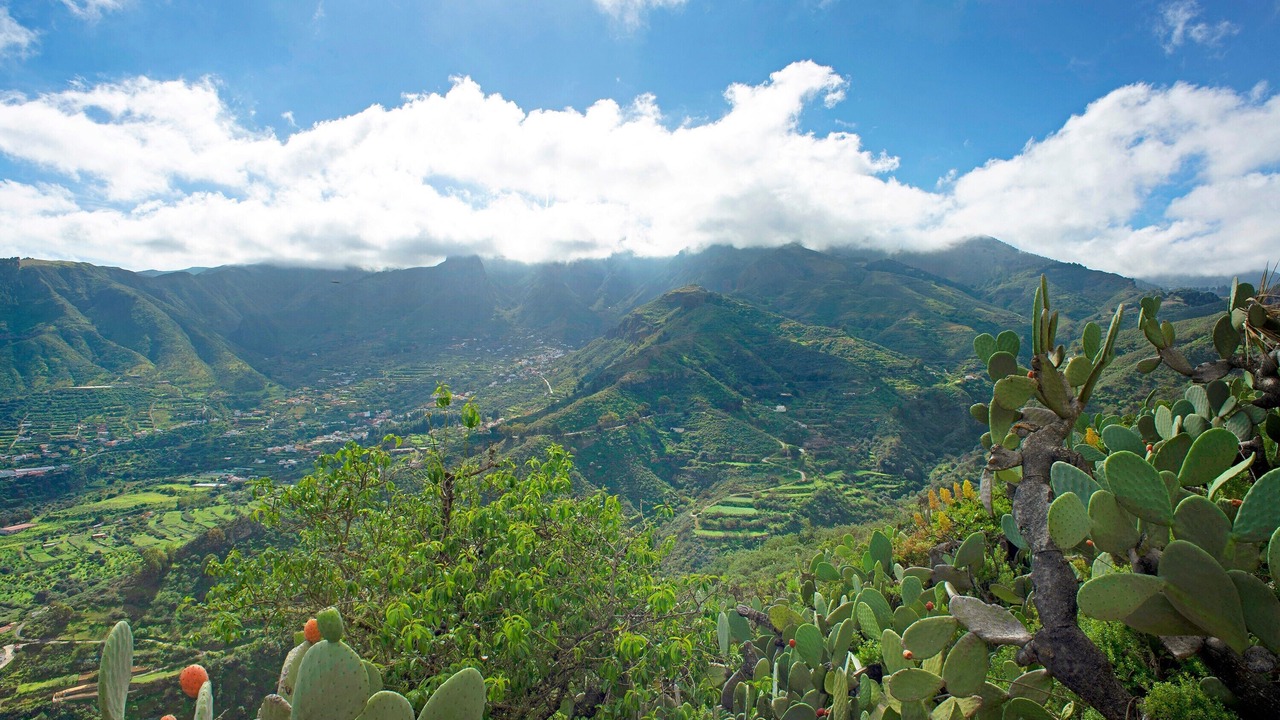 Photo of Others in Valsequillo de Gran Canaria