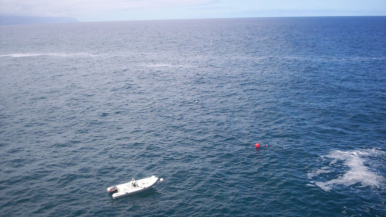 Photo of Outdoor in Tacoronte