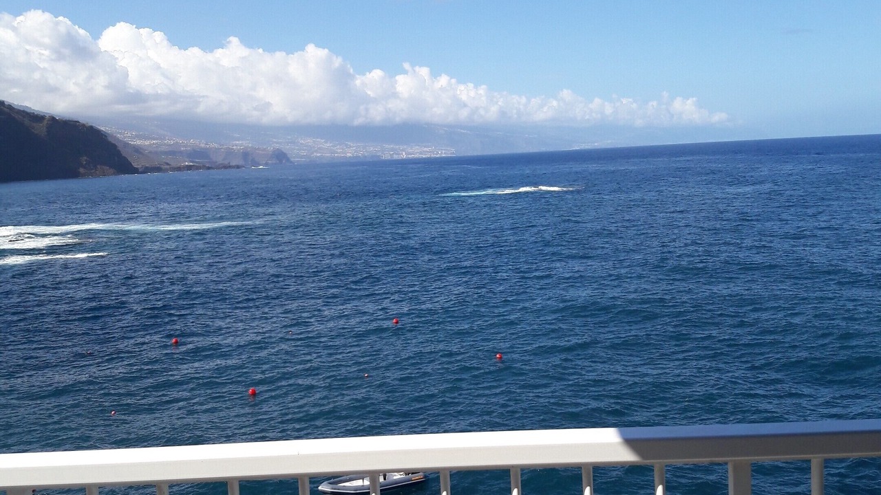 Photo of Outdoor in Tacoronte