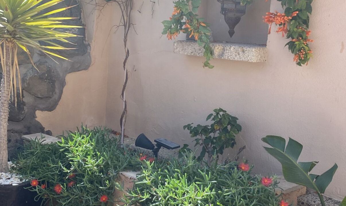 Photo of Outdoor in San Miguel de Abona