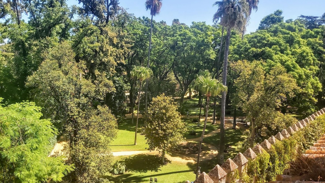 Photo of Outdoor in Santa Cruz