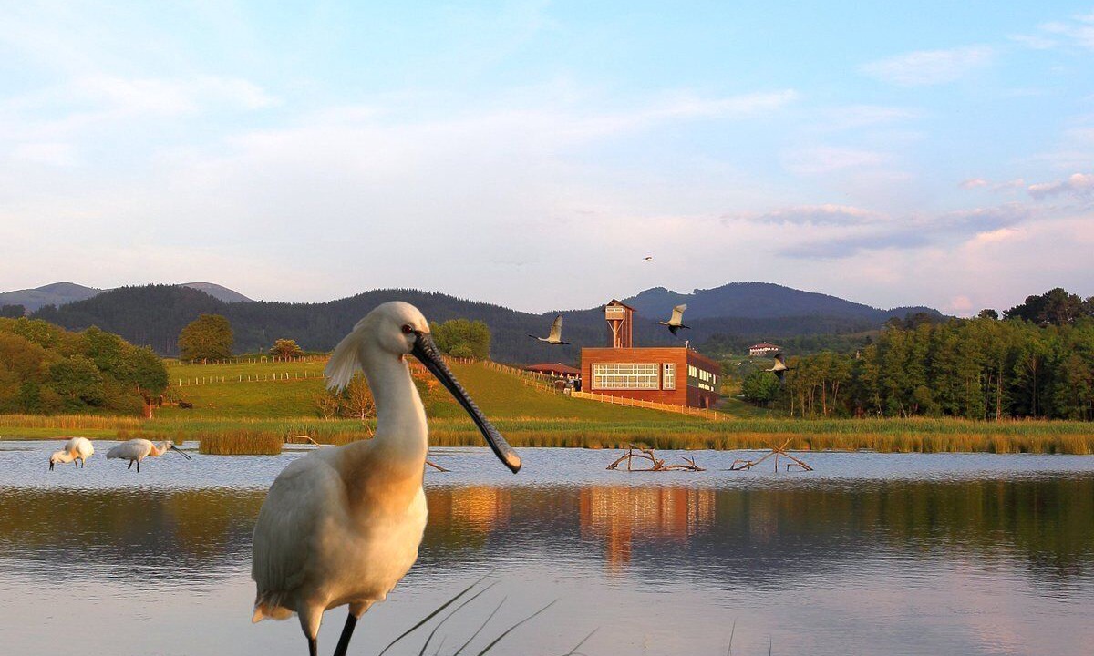 Photo of Outdoor in Ibarranguelua