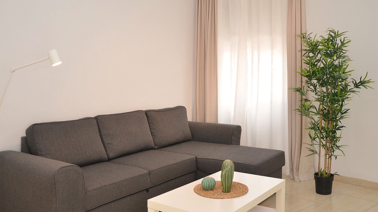 Photo of Livingroom in Santa Cruz de Tenerife