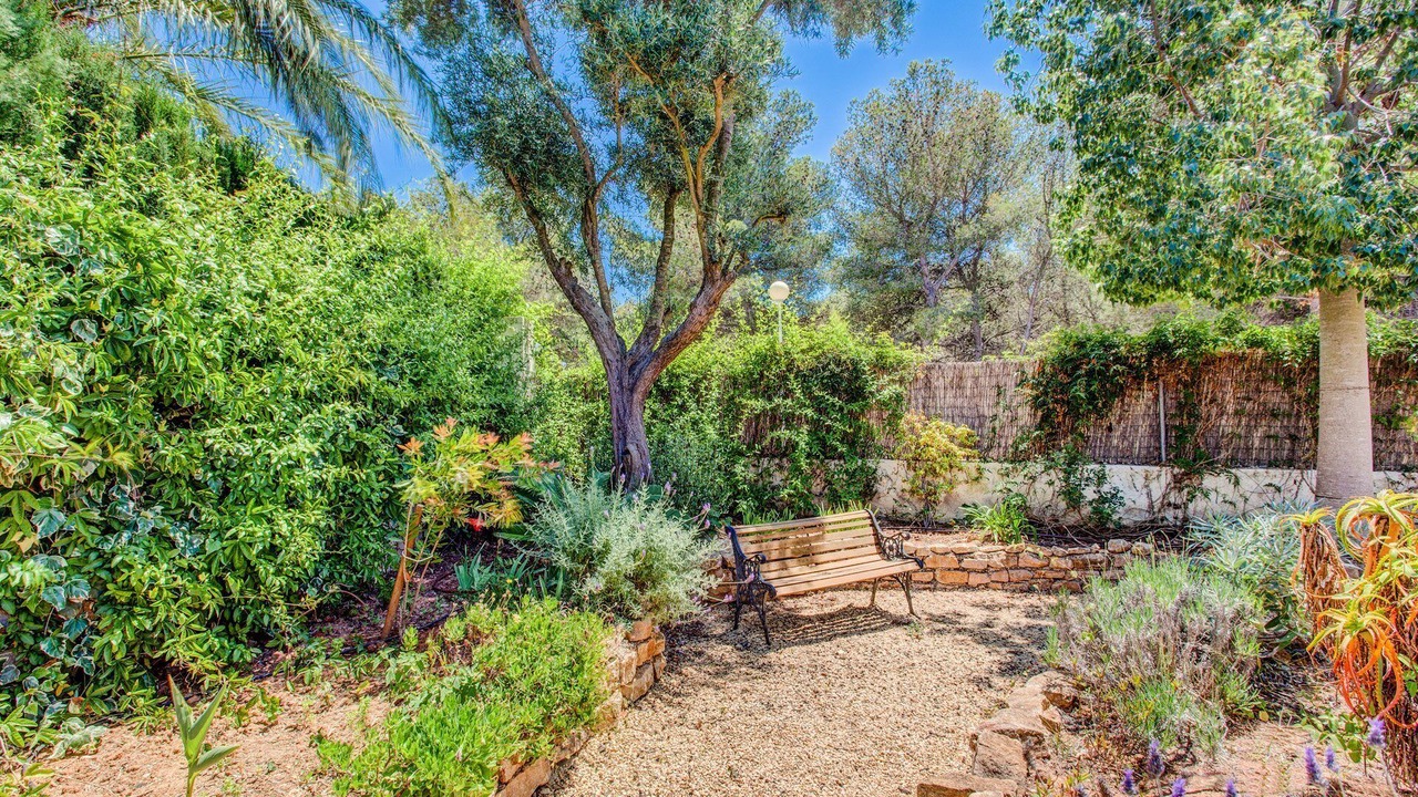 Photo of Outdoor in Mar Azul