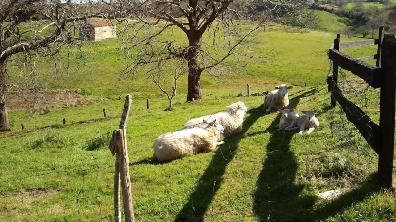 Photo of Others in Lamadrid