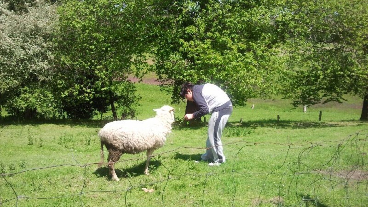 Photo of Others in Lamadrid