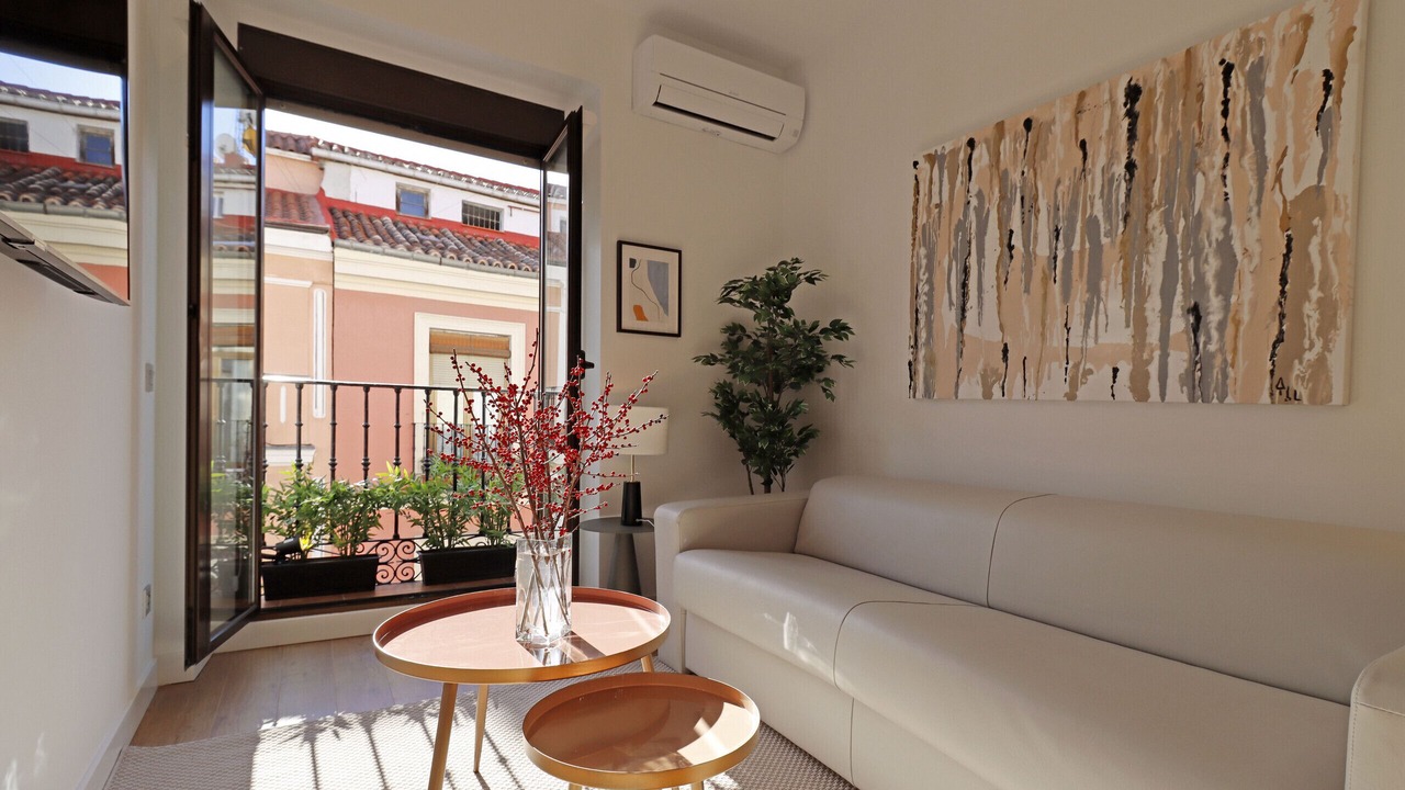 Photo of Livingroom in Embajadores