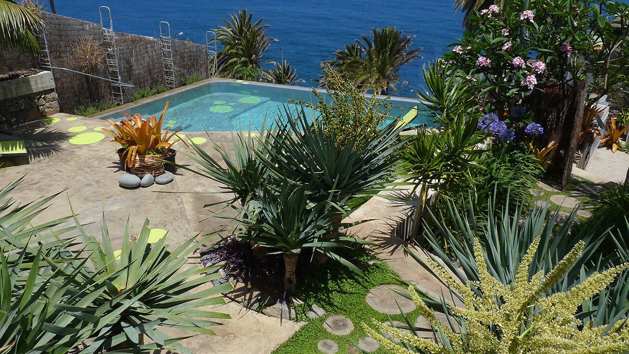 Photo of Outdoor in Los Realejos