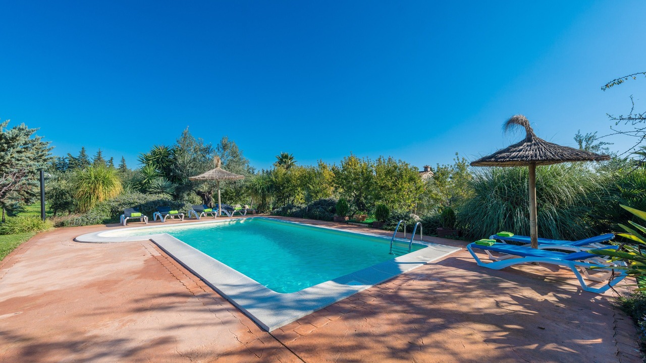 Photo of Outdoor in Selva