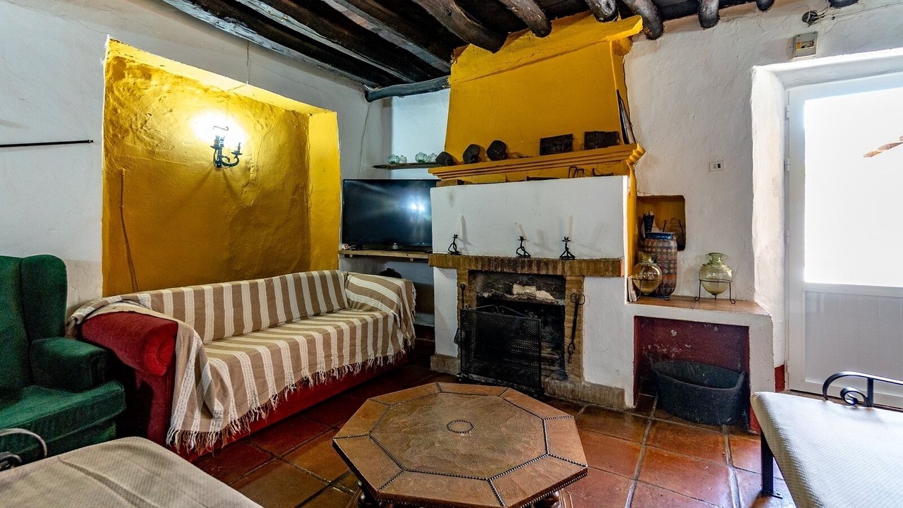 Photo of Livingroom in Benaojan