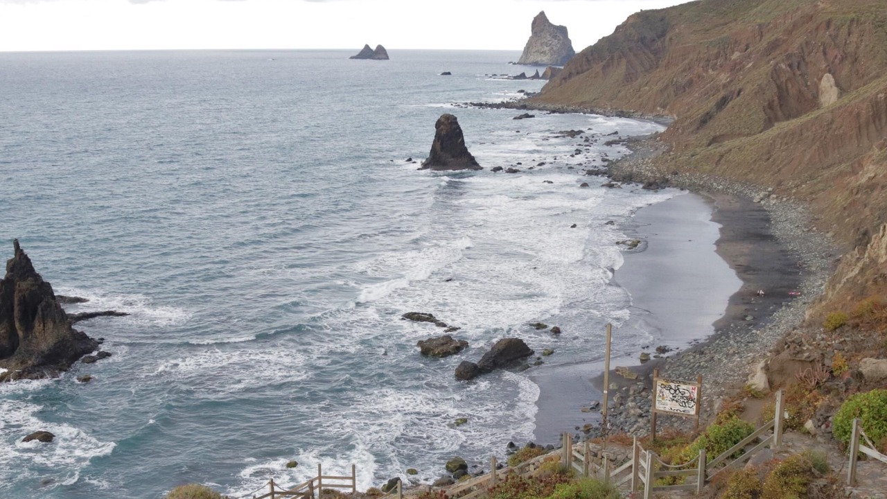 Photo of Others in Santa Cruz de Tenerife