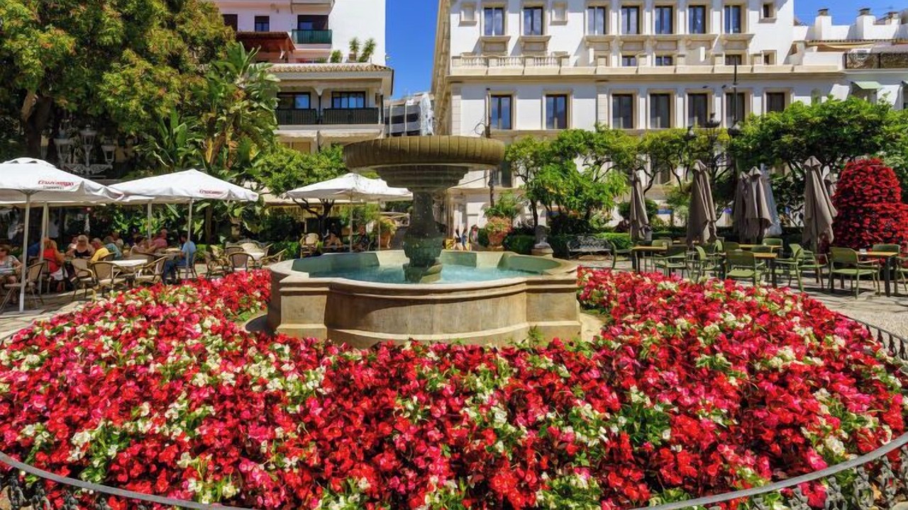 Photo of Others in Estepona