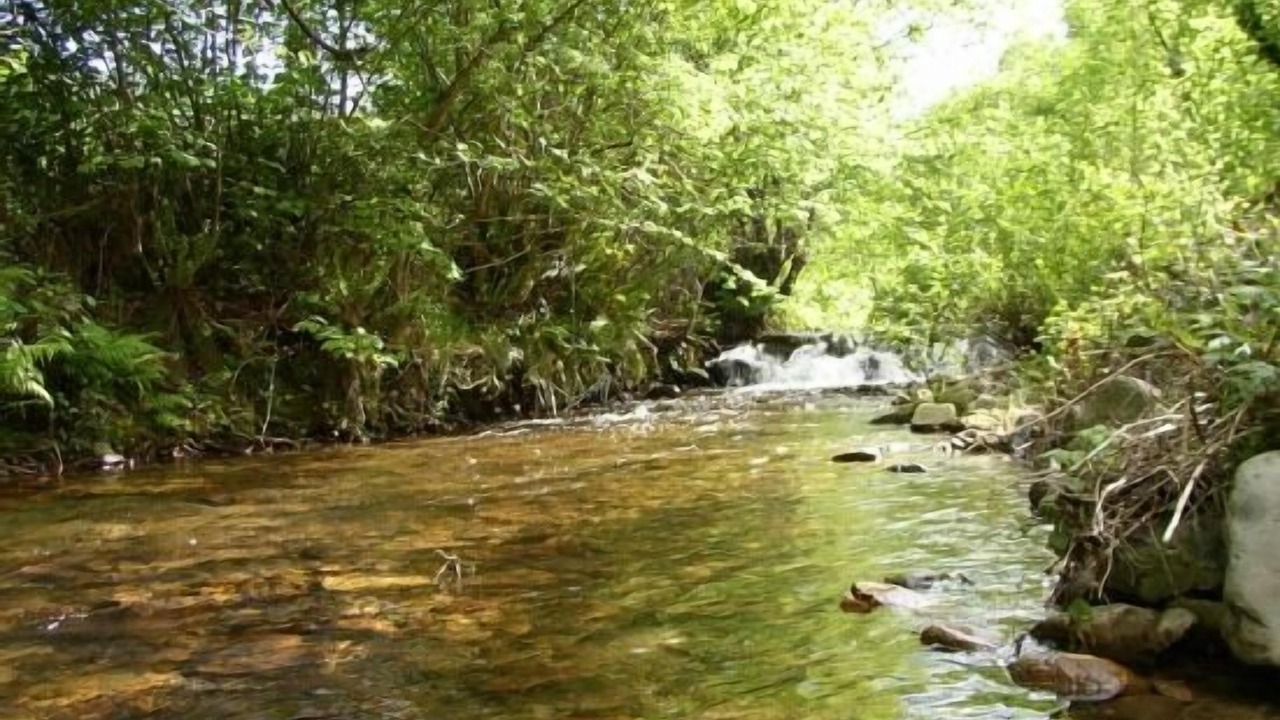 Photo of Outdoor in Yerbo