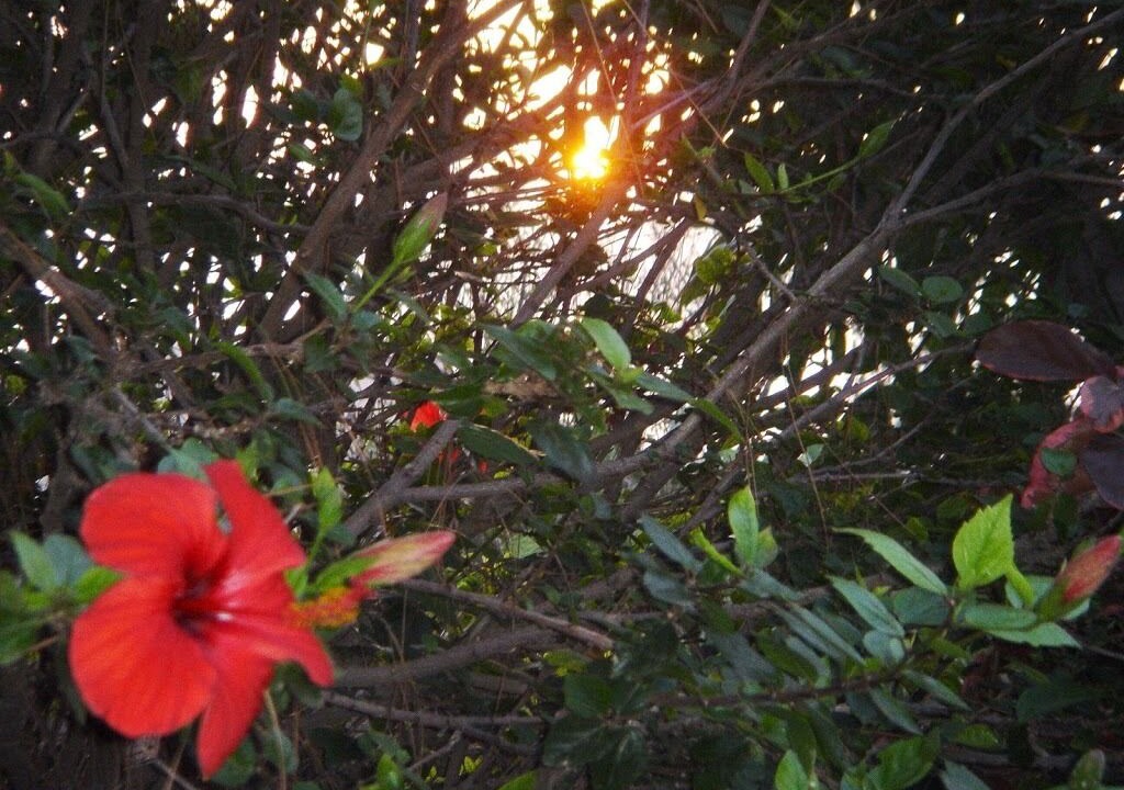 Photo of Outdoor in Tajuya