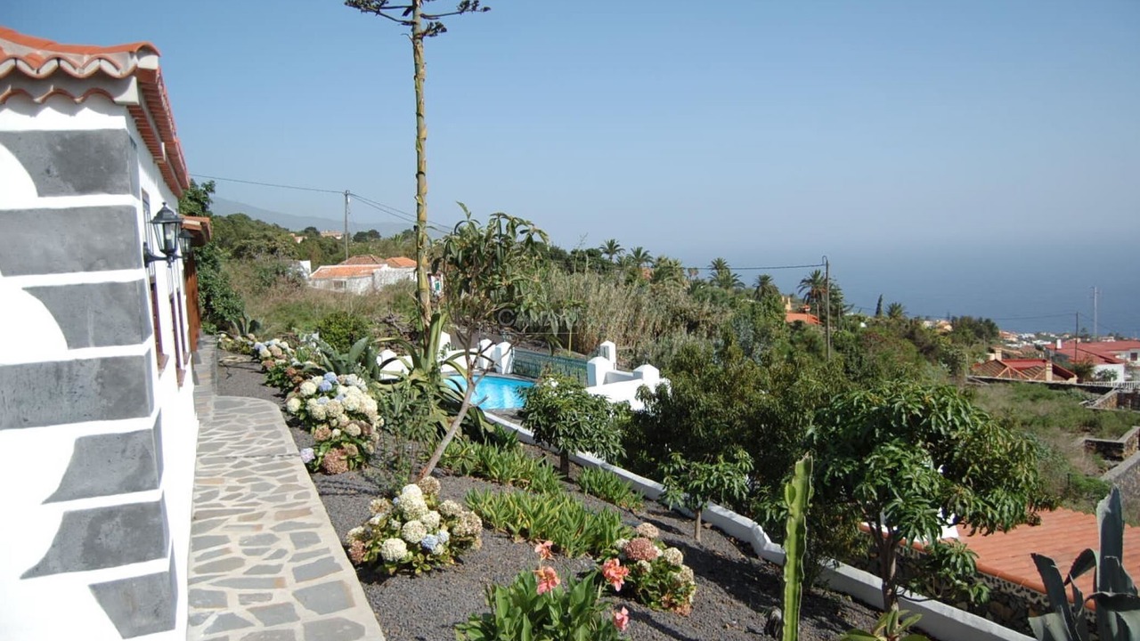 Photo of Outdoor in Brena Baja