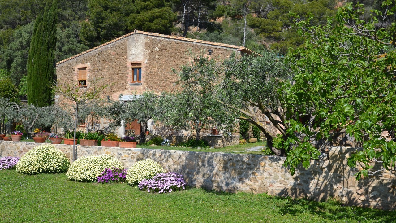 Photo of Outdoor in L'Estartit