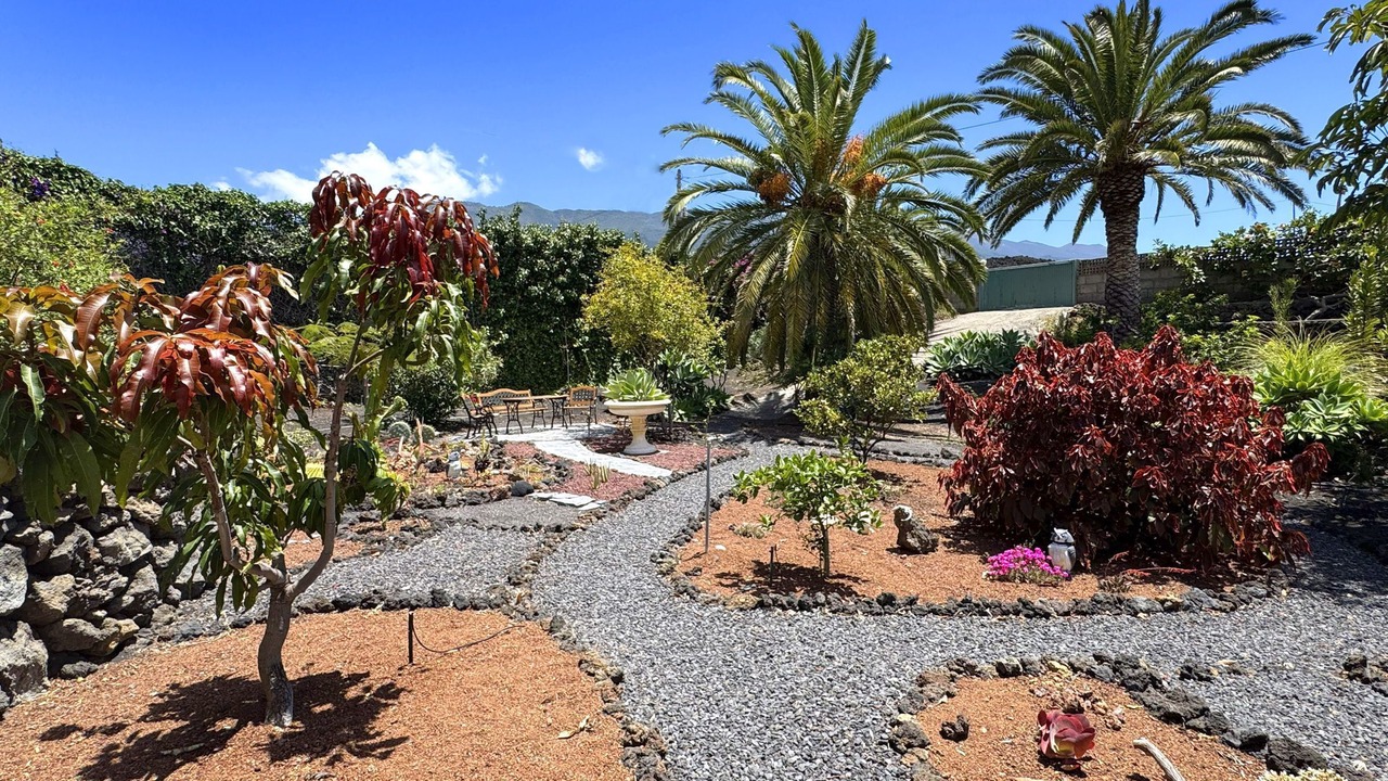 Photo of Outdoor in Todoque