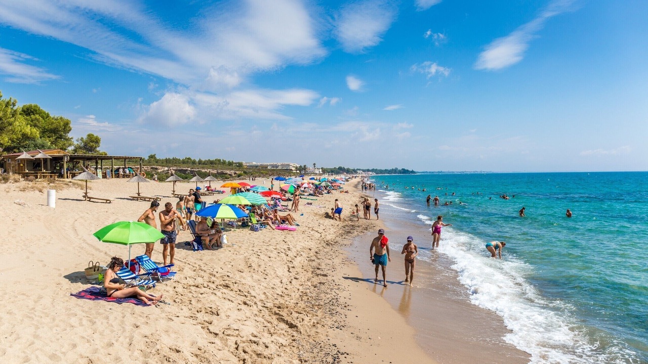 Photo of Others in Miami Platja