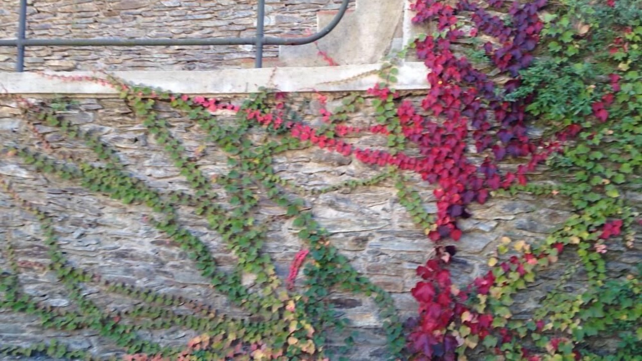 Photo of Outdoor in Vallvidrera