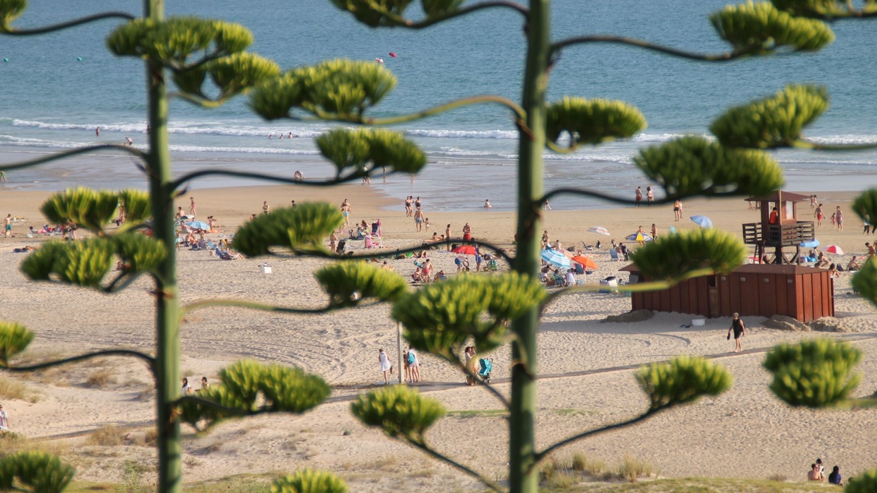 Photo of Others in Conil de la Frontera City Center