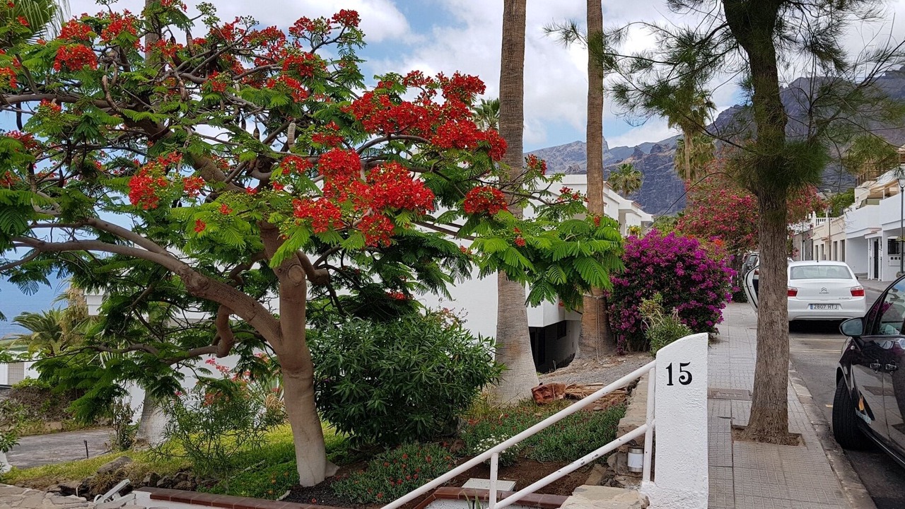 Photo of Outdoor in Los Gigantes