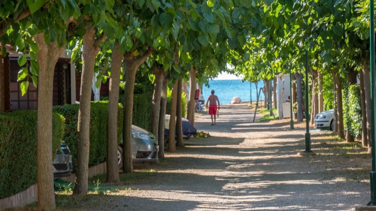 Photo of Outdoor in Miami Platja