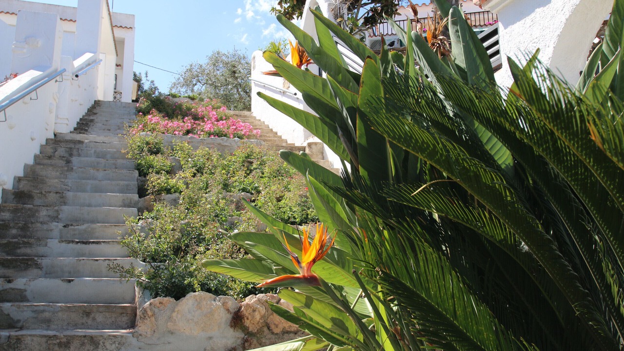 Photo of Outdoor in Parc de Mont-roig