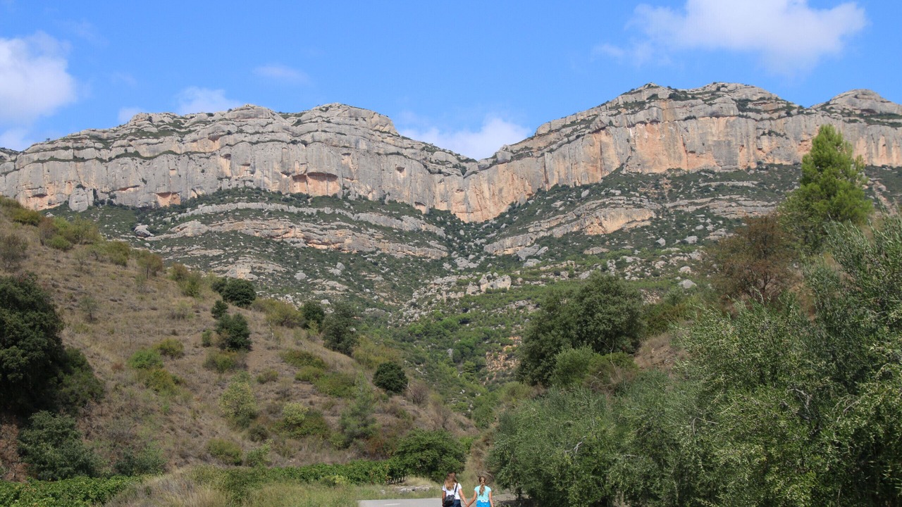 Photo of Others in Parc de Mont-roig