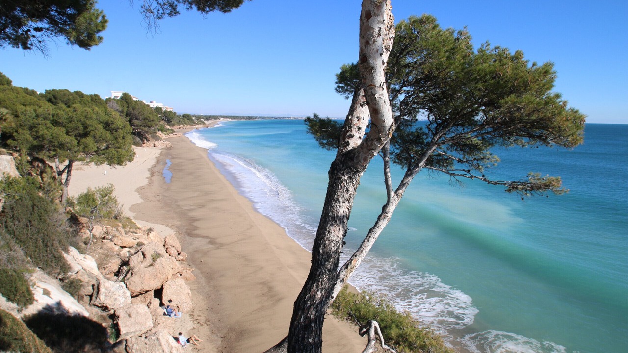Photo of Others in Parc de Mont-roig