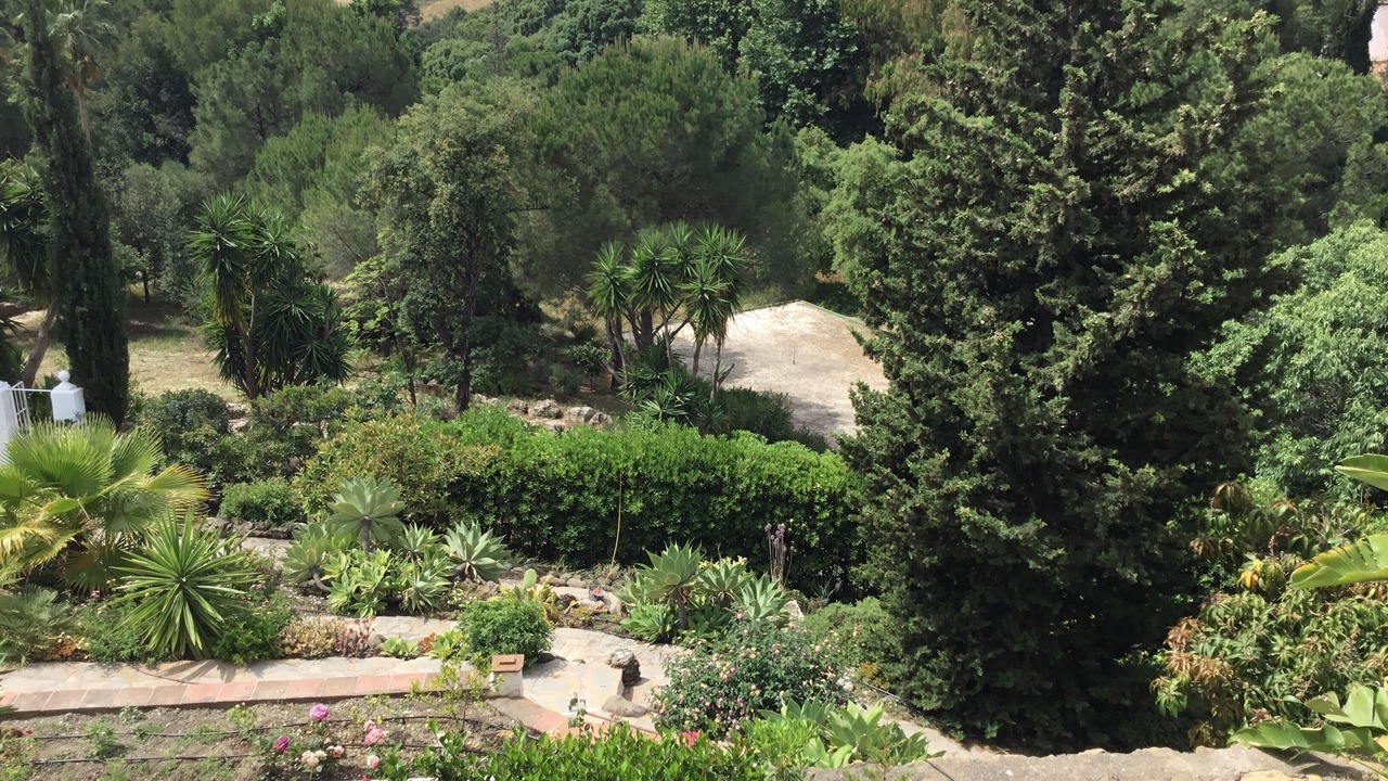 Photo of Outdoor in New Golden Mile