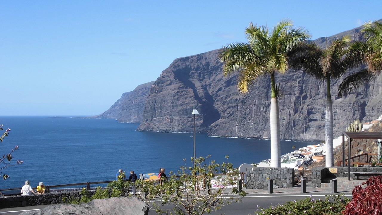 Photo of Others in Puerto de Santiago