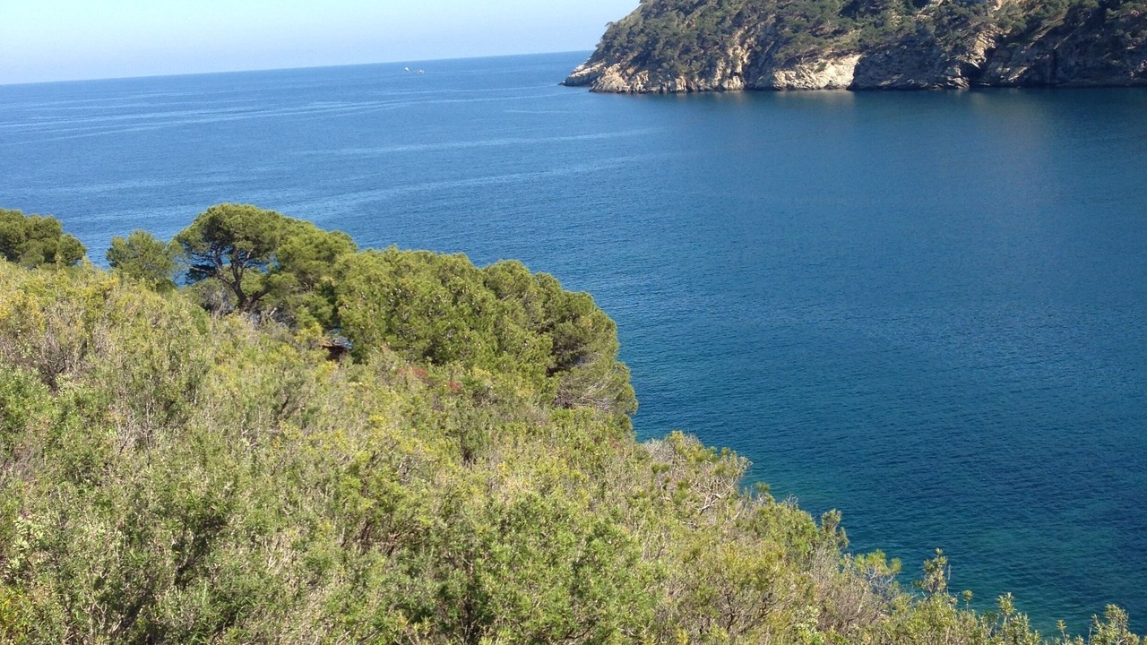 Photo of Others in Santa Margarida