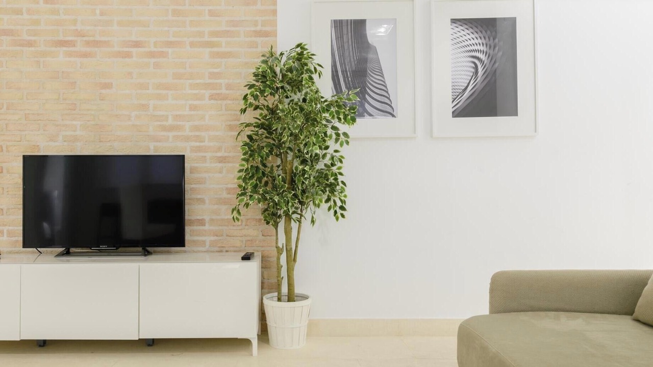 Photo of Livingroom in Cortes