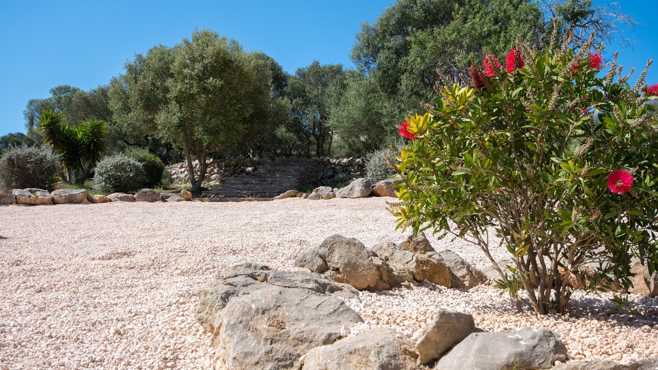 Photo of Outdoor in Felanitx