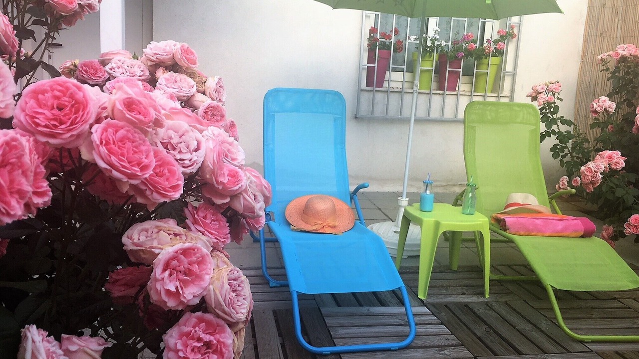 Photo of Patio Balcony in Leon