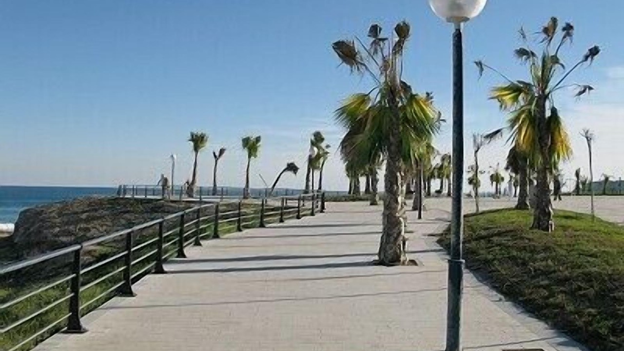Photo of Others in Flamenca Beach