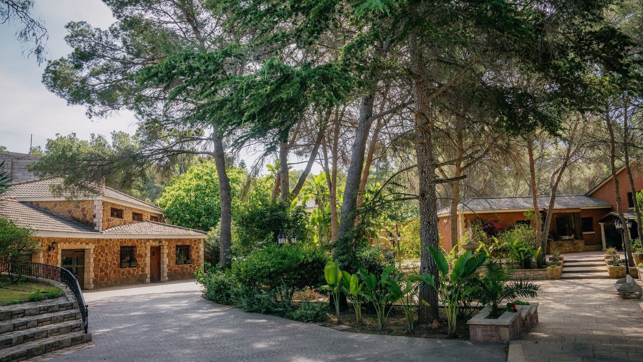 Photo of Outdoor in Sagunto