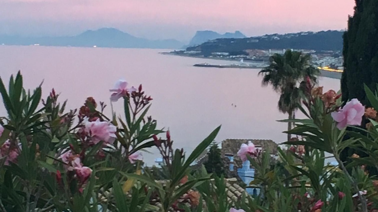 Photo of Others in Bahia de Casares