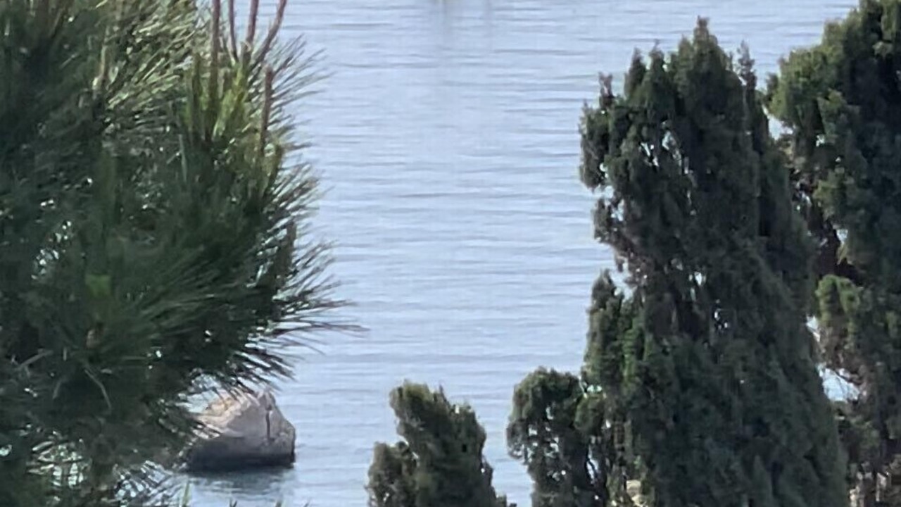 Photo of Others in Bahia de Casares
