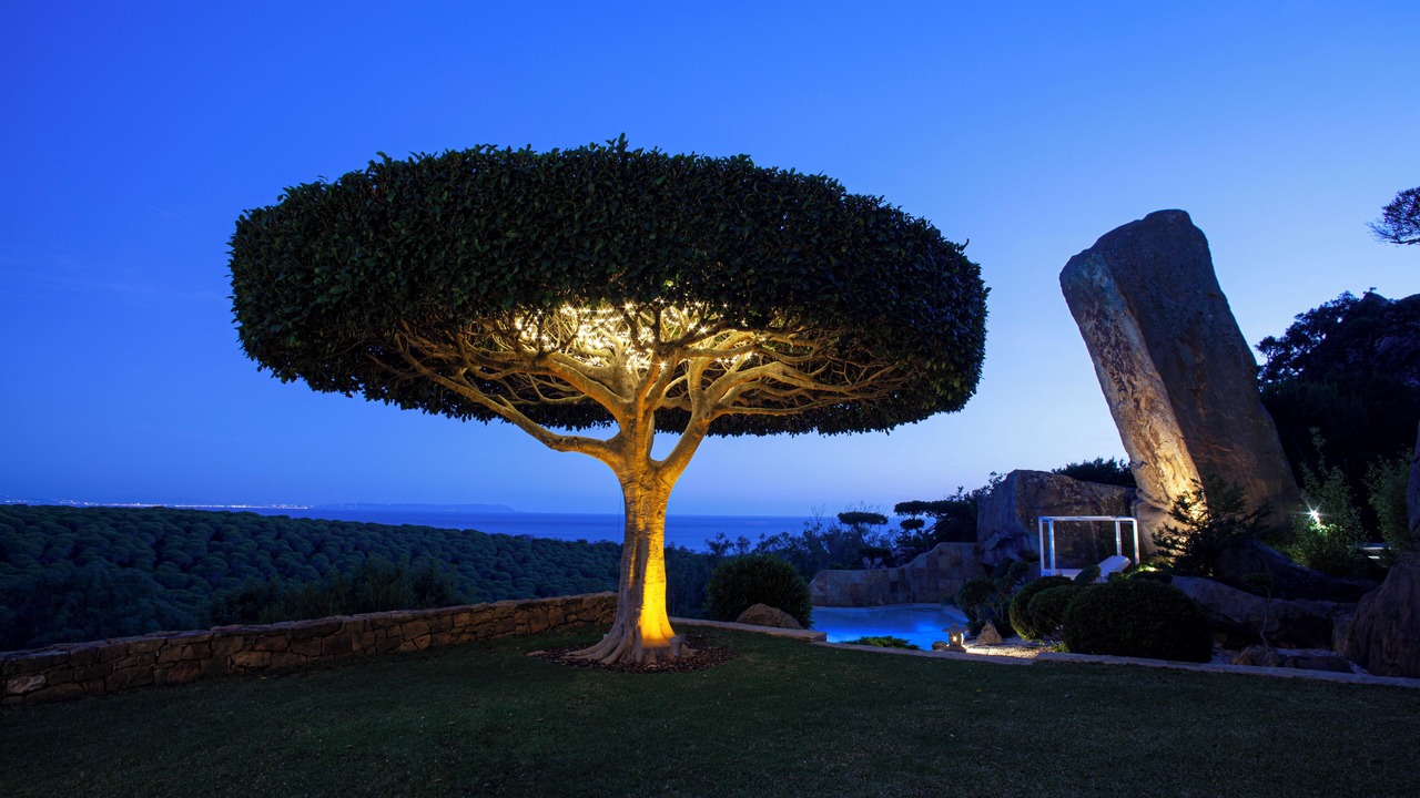 Photo of Outdoor in Bolonia