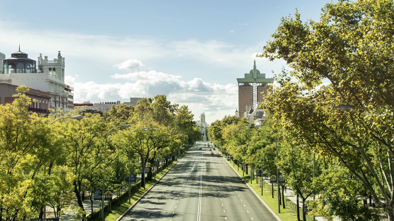 Photo of Outdoor in Centro
