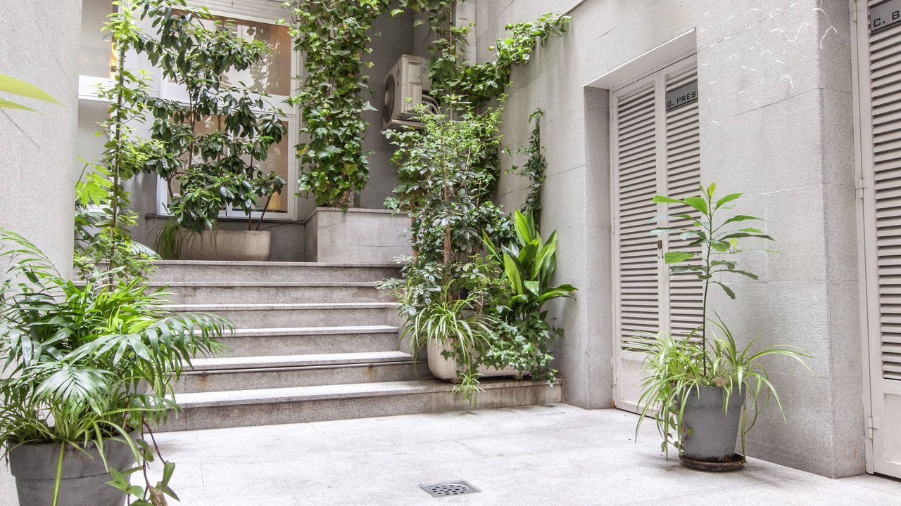 Photo of Outdoor in Embajadores