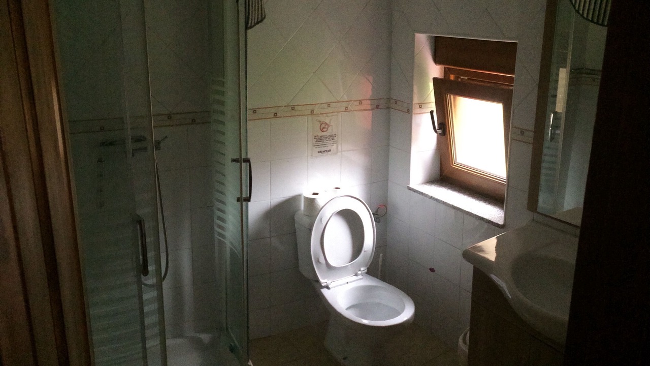 Photo of Bathroom in San Pedro de la Ribera