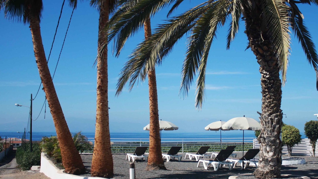 Photo of Outdoor in Alcala