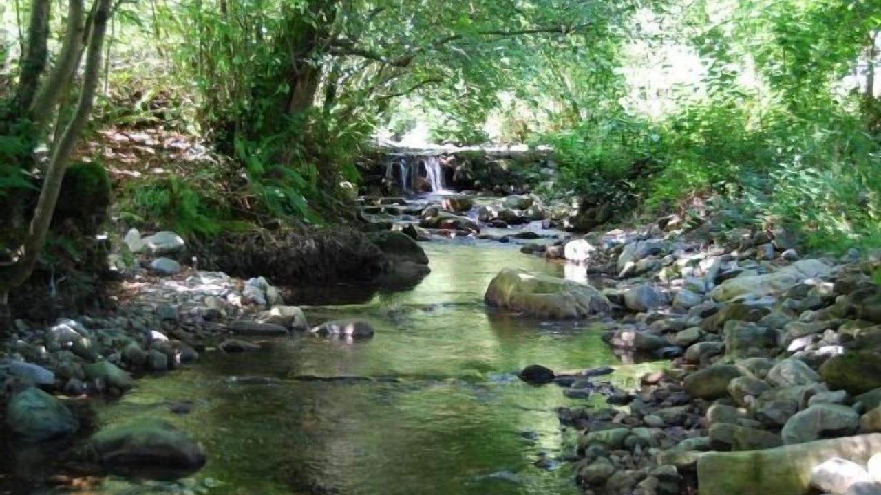 Photo of Outdoor in Yerbo