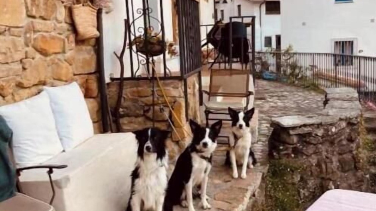 Photo of Patio Balcony in Tornon