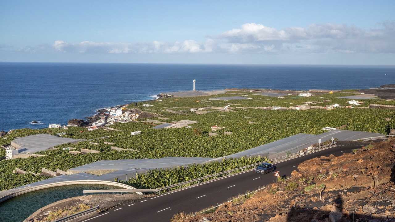 Photo of Outdoor in Puerto Naos