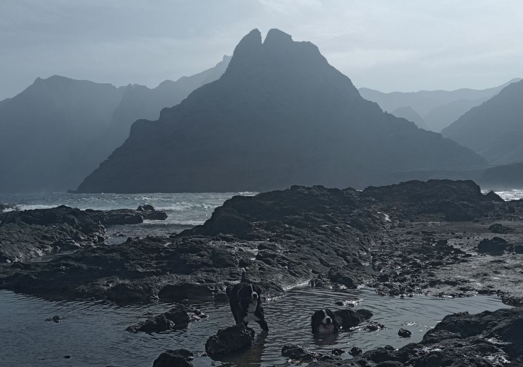 Photo of Others in Punta del Hidalgo